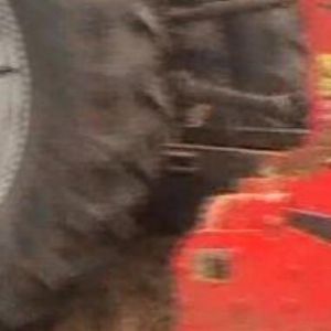 驅動耙演示現(xiàn)場